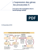 Regul_Exp_Procar_II_PDF