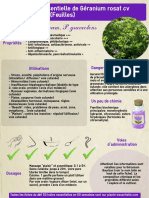 ficheHE3geranium PDF