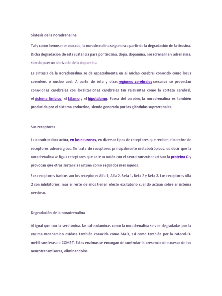 S ntesis de la noradrenalina pdf norepinefrina rgano anatom a 