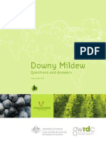 Downy Mildew: Questions and Answers