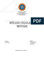 Núcleo Celular y Mitosis