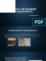 Tecnica de Examen Microscopico