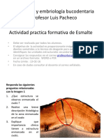 Actividad Practica Formativa de Esmalte3