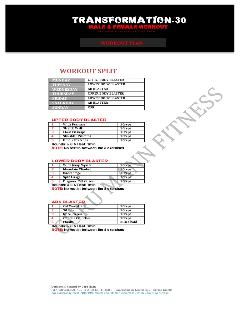 T-30 Workout Plan PDF | Download Free PDF | Human Body | Human Anatomy