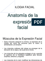 Anatomía facial y músculos de expresión