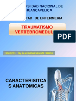 Traumatismovertebromedularcuidadosdeenfermeria 151126203639 Lva1 App6892