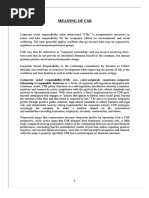 docdownloader.com_csr-by-sbi.pdf