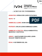ICP (Práctica #1).pdf