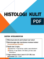 Histologi Kulit