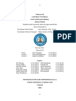 Tutor Post Partum Normal