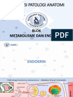(PA 3.3) Asistensi Endokrin Blok 3.3.