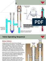 BULLDOG VALVE SEQUENCE ANIMATION.pps