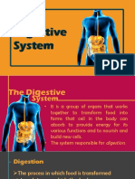 Grade 8 Digestive System