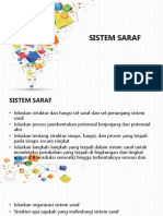 Sistem Saraf