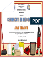 CLEANER CERTIFICATE