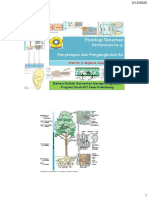 Penyerapan Dan Pengangkutan Air PDF
