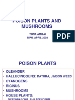 Poisonous Plants and Mushrooms, 2008.ppt