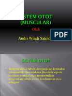 Sistem Otot