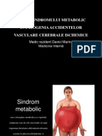 Danici Marina - SDR Metabolic-AVC
