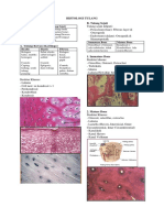 Histologi Tulang, Otot, Saraf