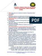 Pautas para Realizar El Trabajo Final Diplomado Ssoma