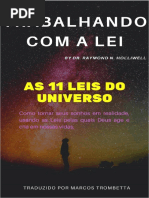 AS 11 LEIS DO UNIVERSO - RAYMOND HOLLIWEEL.pdf