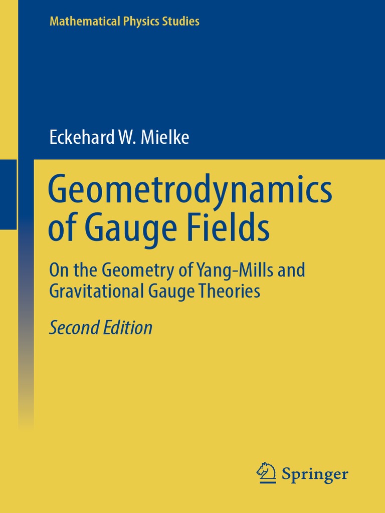 Geometrodynamics of Gauge Fields On The Geometry of YangMills and
