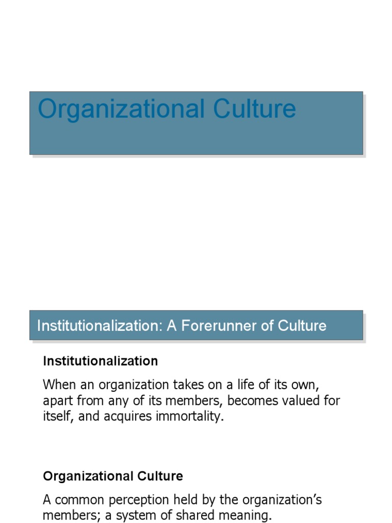 Understanding Organizational Culture Dynamics | PDF | Socialization ...