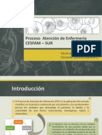 Proceso Atención de Enfermería Artrosis