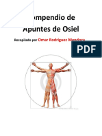 Compendio de Apuntes de Osiel PDF