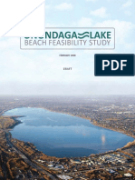 Onondaga Lake Beach Feasibility Report