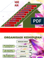 Paket-3-Organisasi-Kehidupan