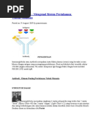 Download imunoglobulin by Zamzam Mubarak SN44964981 doc pdf