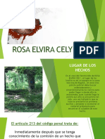 Caso Rosa Elvira