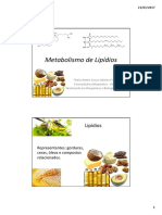 Metabolismo de Lipídios Thaisa PDF