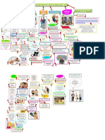 Mapa Conseptual Desarrollo Humano Ciclo de Vida Diana Parrado Id 52130