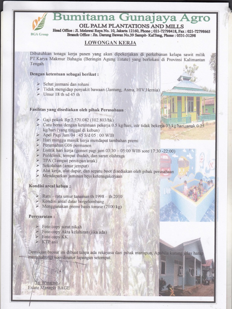 Contoh Brosur Lowongan Pekerjaan 2019 Visual Menarik