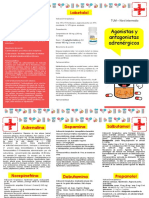 Triptico PDF