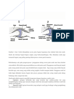 Sturktur dan fungsi sendi.docx