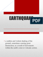 Earthquake DRR Report