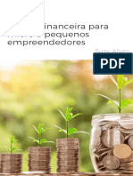 Ebook Gestão Financeira MPEs - Pocket