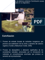 Tema 7. Eutrofización 2019 PDF