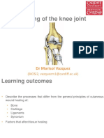 Healing of The Knee Joint