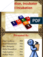 48562752-Business-Incubation-Final.ppt