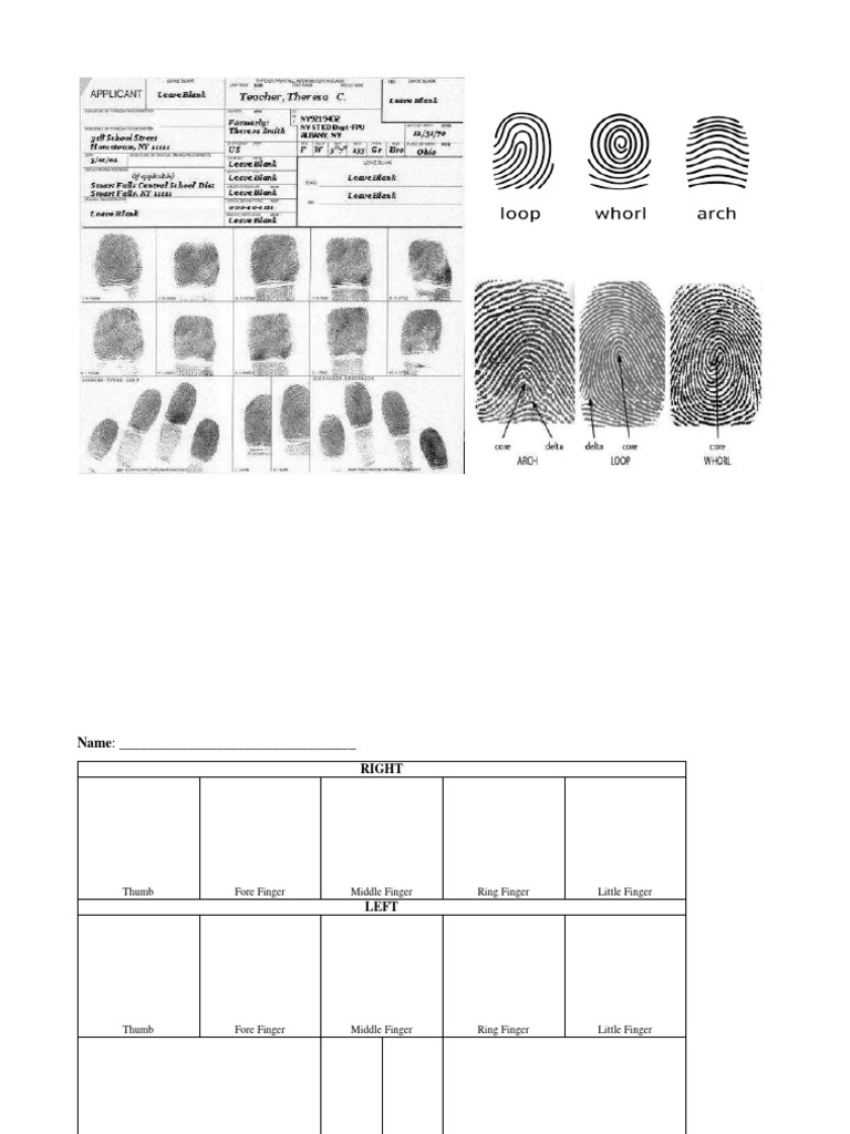 Exercise Personal Identification | PDF | Foreign Language Studies ...