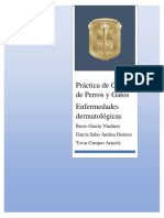 Portada Práctica Derma PDF