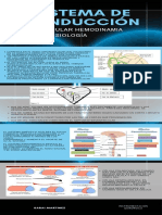 Infografia Sistema Conduccion Sarai