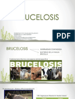 BRUCELOSIS diapositivas 3.pptx