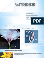 dokumen.tips_mikrogametogenesis-56b09a8666469.pdf