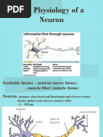 NEURON ACTION POTENTIAL - PPT - Ready